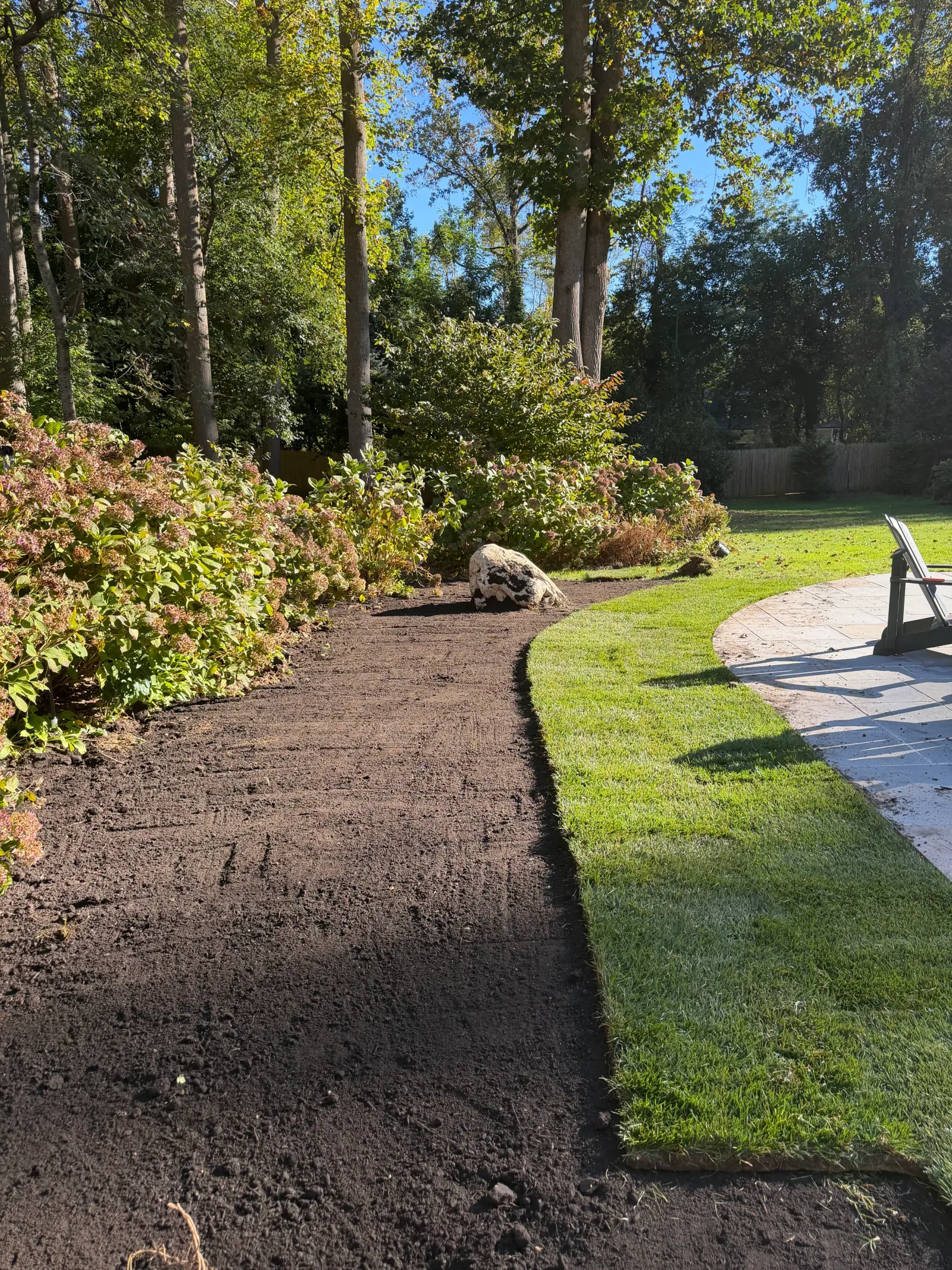 Newly laid sod with curved edge beside paver patio, freshly graded topsoil bed, and hydrangea shrubs