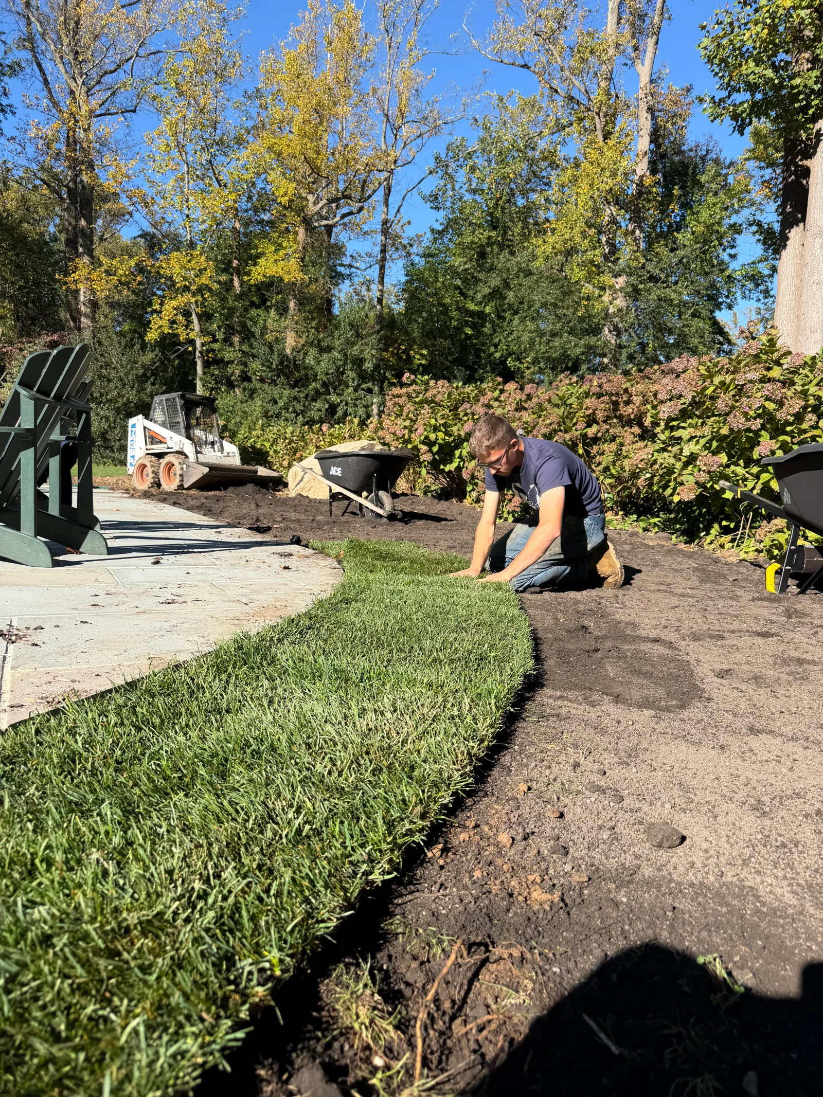 Worker laying sod strips on graded topsoil beside a gray paver walkway with hydrangea beds behind